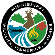 Jackson Summer Camps